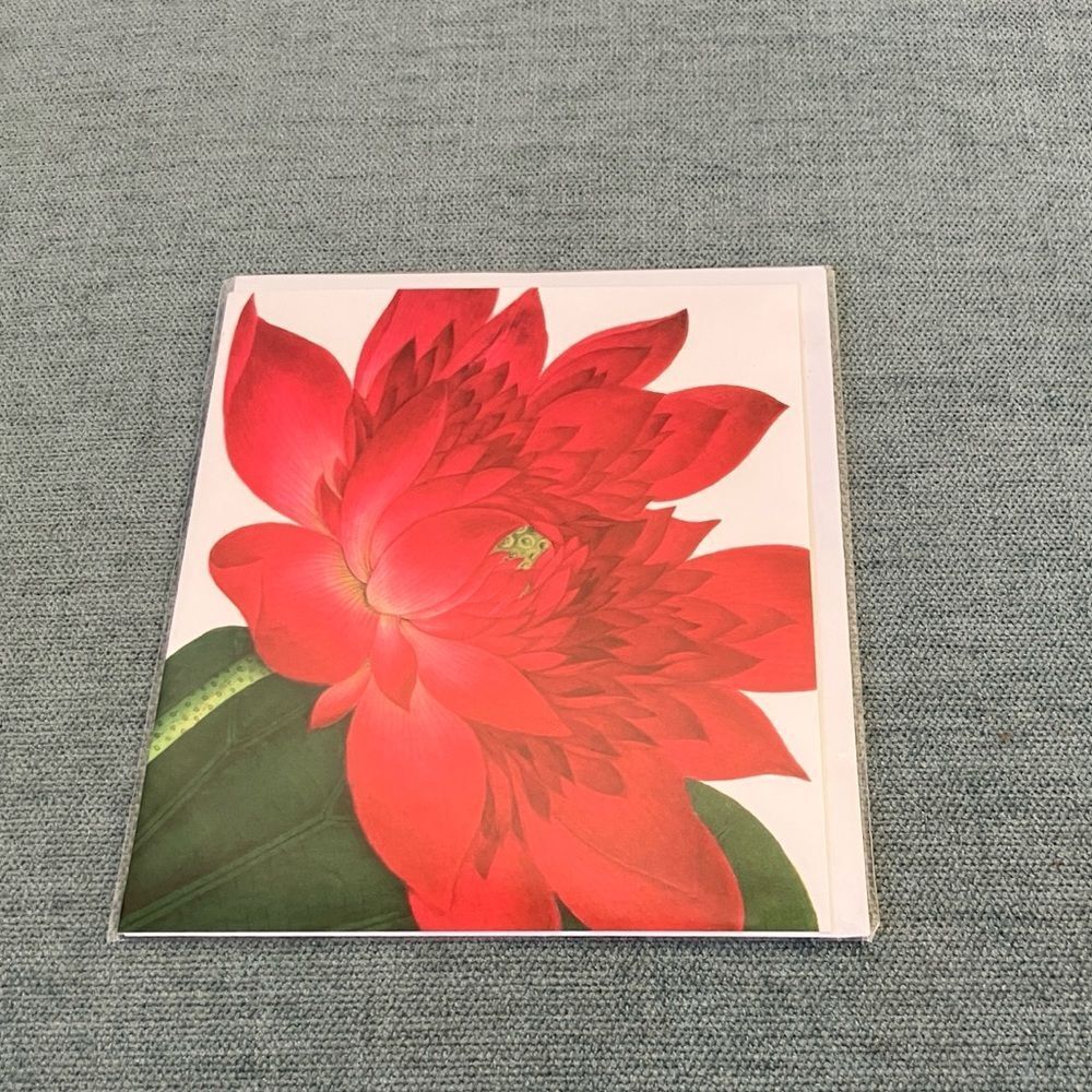 Waterlily Natural History Museum Card